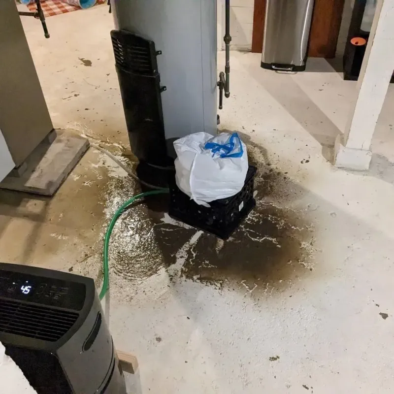 Sewage Backup Cleanup Service in Ceiba, PR